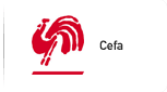 Cefa